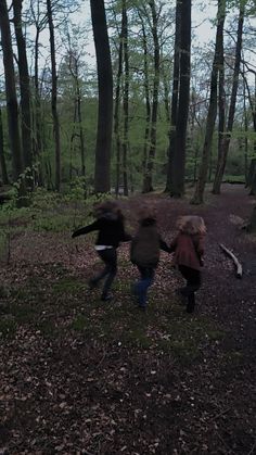 two people are walking through the woods holding hands and looking at something in the distance