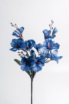 some blue flowers are in a vase on a table