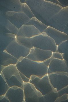 the water is reflecting light on it's surface, and there are small ripples