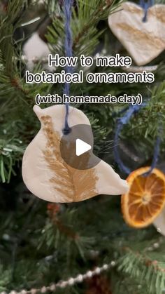 an ornament hanging from a christmas tree with the words how to make botanical ornaments