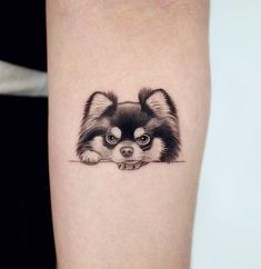 a small black and white dog tattoo on the right thigh, it looks like he is laying down