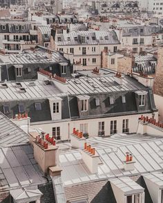 the roofs of many buildings are covered in orange and white shingled roof tiles, with cityscape in the background