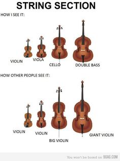 an image of violin strings with the names and their corresponding parts in english or spanish