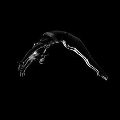 a black and white photo of a person diving