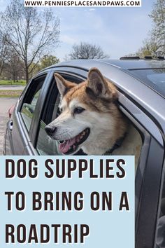 a dog sticking its head out the window of a car with text overlay that reads, dog supplies to bring on a road trip