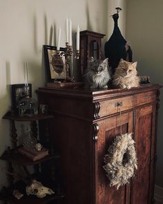 two cats sitting on top of a wooden cabinet