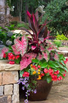 a potted planter filled with lots of colorful flowers next to a stone wall