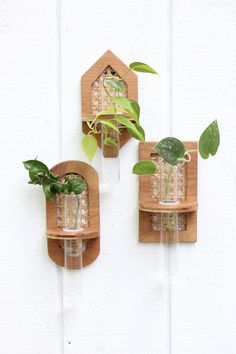 two wooden shelves with plants and vases on them hanging from the side of a white wall