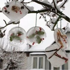 snow covered ornaments hanging from a tree branch