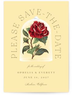 save the date card with a red rose in a glass dome