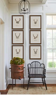 two framed deer pictures hang on the wall next to a chair and a potted plant