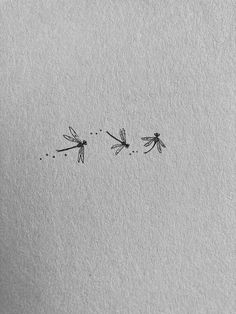 two dragonflies flying in the sky above each other