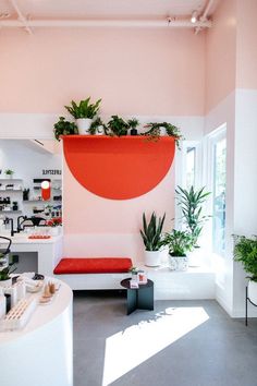 a room with potted plants on the wall and a bench in front of it