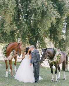 a bride and groom standing next to two horses in a field with flowers on their heads