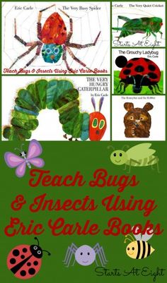 teach bugs and insects using the same book