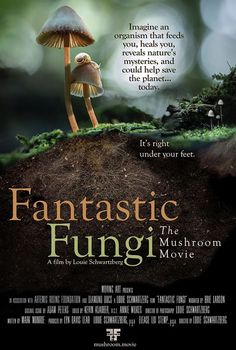 Fantastic Fungi, Popular Ads, The 5th Wave, Secrets Of The Universe, Invisible Man, Digimon Adventure, Friends Show, True Life, Borderlands