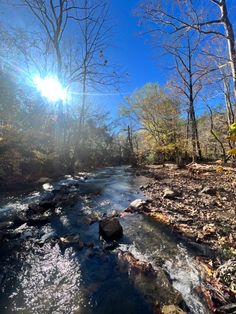 the sun shines brightly over a small stream in the woods on a sunny day