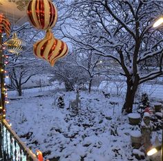 a snowy yard with christmas lights and ornaments hanging from the trees in front of it