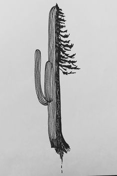 a black and white photo of a cactus with a tree on it's back