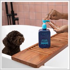 Looking for a pet shampoo that will leave your dog looking and feeling amazing? Look no further than our selection of beautiful dog shampoos and conditioners! With products that are perfect for both dogs and cats, you're sure to find the perfect solution for your pet's hair care needs. Moringa Plant, Dog Odor Eliminator, Pet Odor Eliminator, Beauty Formulas, Cleansing Shampoo, Mild Cleanser