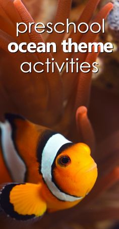 an orange and white clown fish with the words preschool ocean theme activities on it's side