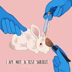 Animal Cruelty Art Drawing, Animal Testing Pictures, Animal Protection Poster Drawing, Animal Cruelty Posters, Animal Testing Art, Animal Testing Poster, Animal Cruelty Awareness