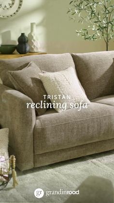 a living room scene with focus on the sofa