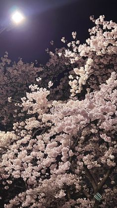 the full moon shines brightly in the sky above cherry blossom trees and street lights