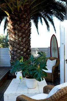 a palm tree in the middle of a patio with white furniture and mirrors on it