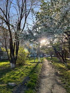 the sun shines brightly through the trees and grass on this small path that leads to a park