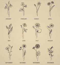 an image of different flowers drawn in black ink on white paper with the names of each flower