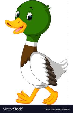 a green duck with brown head and white legs is standing in front of the viewer