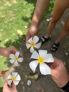 three people holding white and yellow flowers in their hands