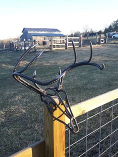 a horse's bridle on top of a wooden post near a fence