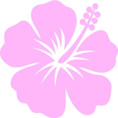 a pink flower on a white background