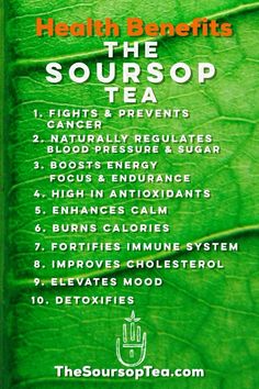 Soursop is usually found in South America and often the basis for beverages, ice creams and other popular sweet foods. It’s known to have a few other names, such as graviola, custard apple, paw paw, guyabano and guanabana in Spanish-speaking countries. Additionally, it has superfruit-healing properties as a high-antioxidant food due to its vitamin C, B vitamins, calcium, phosphorous and even some iron that it contains. These vitamins and minerals are why soursop benefits include potentially help Soursop Tea, Healthy Woman, Tomato Nutrition, Calendula Benefits, Fruit Health Benefits, Lemon Benefits, Coconut Health Benefits, Stomach Ulcers, Body Therapy