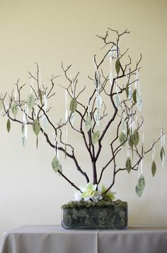 a bonsai tree with leaves and tags hanging from it's branches is displayed on a table