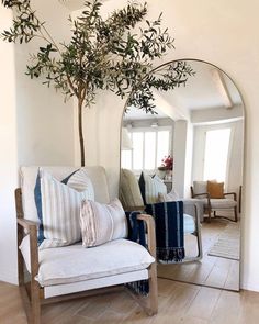 a living room filled with furniture and a tree in the middle of the room next to a mirror