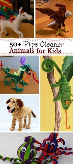 the cover of 50 + pipe cleaner animals for kids with pictures of different types of toys