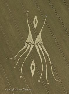 an aerial view of two people in the middle of a green field with trees and lines drawn on it