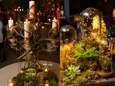 a table topped with lots of plants and candles