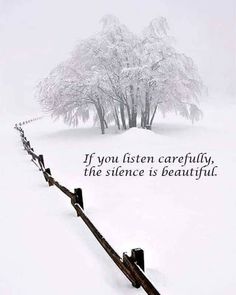 a fence that is in the snow with a quote on it saying if you listen carefully, the science is beautiful