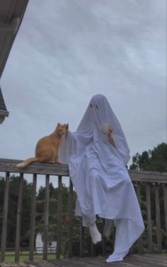 a cat sitting on top of a wooden deck next to a person in a ghost costume