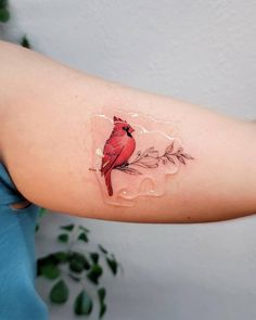 a red bird sitting on top of a tree branch with leaves around it's neck