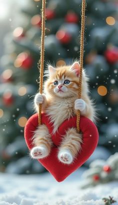 a kitten is sitting on a heart shaped swing