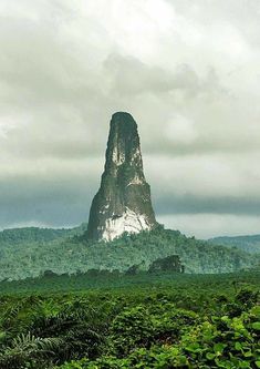 a tall mountain towering over a lush green forest filled with lots of trees and bushes