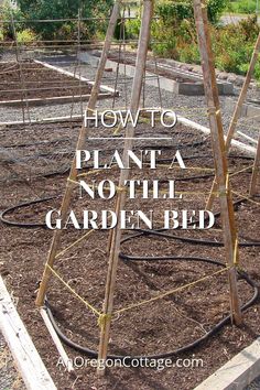 an image of a garden with the words how to plant a no tilli garden bed