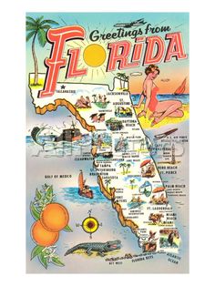 an illustrated map of florida with all the major cities and towns on it's side