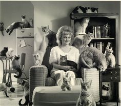 an old black and white photo of a woman sitting in a chair surrounded by cats