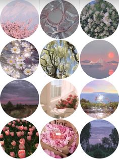 many different pictures with flowers in them and the sky behind them, all on separate circles